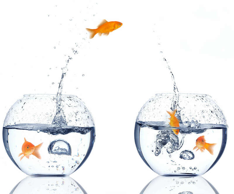 Statistiques de déménagement